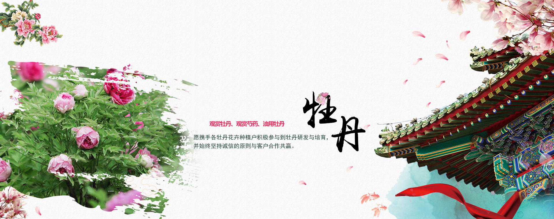 banner0